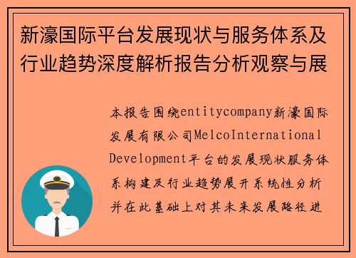新濠国际平台发展现状与服务体系及行业趋势深度解析报告分析观察与展望