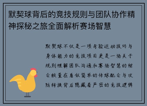 默契球背后的竞技规则与团队协作精神探秘之旅全面解析赛场智慧